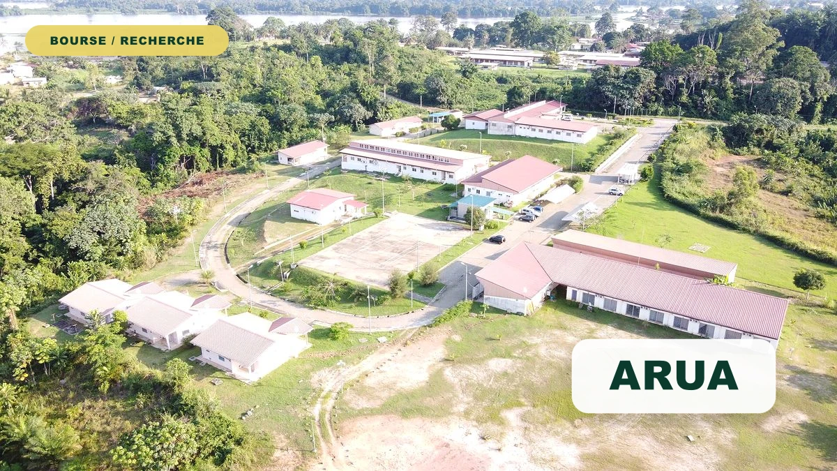 Bourses de recherche ARUA pour chercheurs en début de carrière 2026