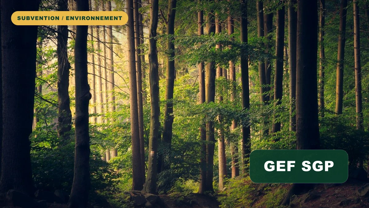 GEF SGP CSO Challenge: grants for civil society environmental solutions