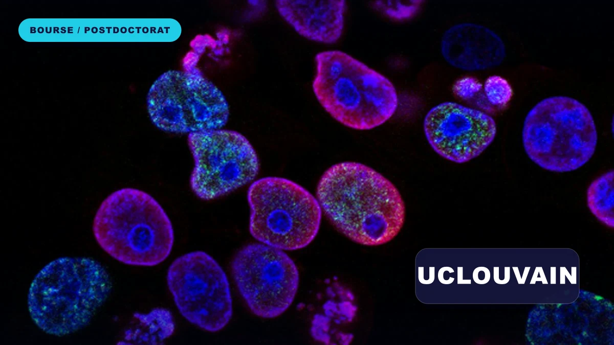 Marie Skłodowska-Curie Postdoctoral Fellowships at UCLouvain 2026