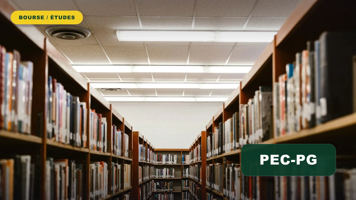 PEC-PG Scholarship Programme 2027 for Master and PhD in Brazil