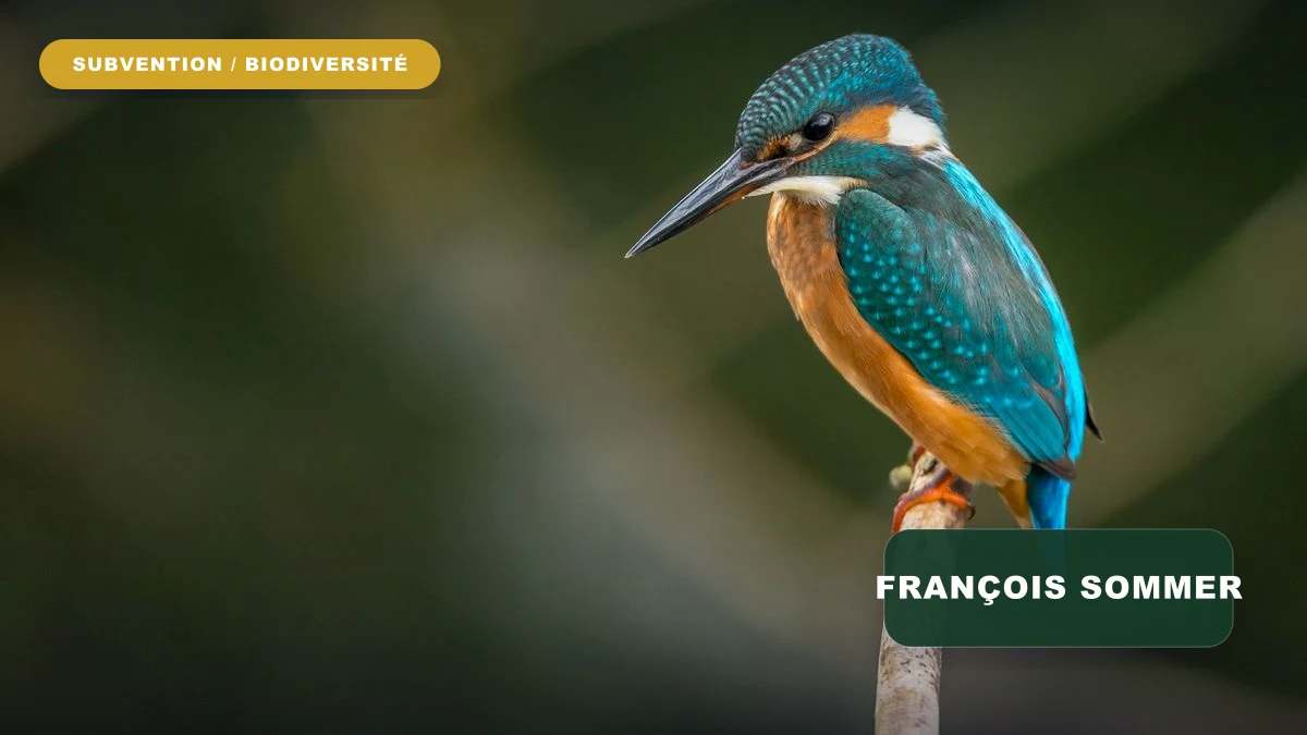 François Sommer Foundation 2026 Wildlife Call for Projects
